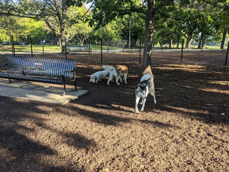 dog parks Horner Park Dog Park