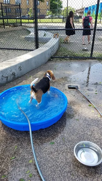 dog parks Logan Square Dog Park