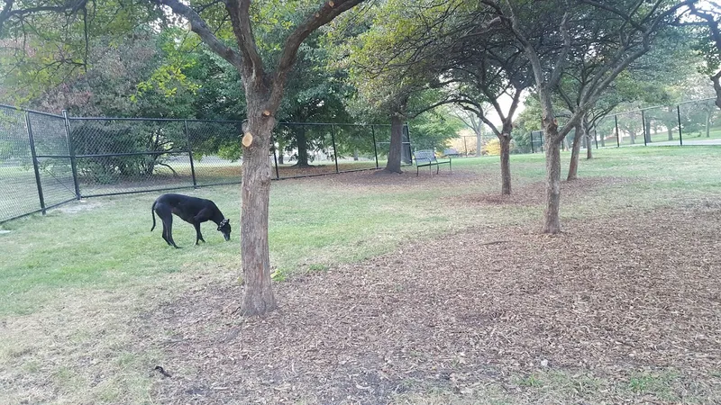 dog parks Edgewater Dog Park