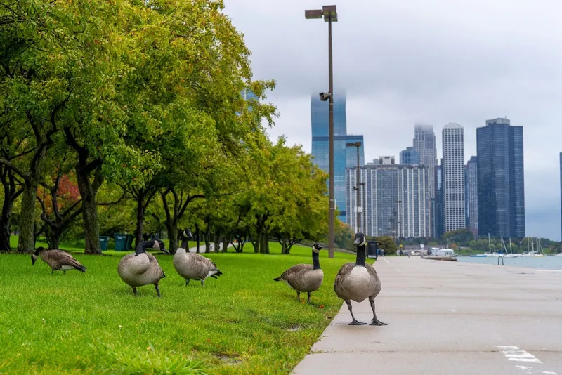 Lakefront Park