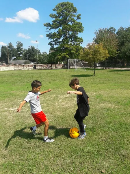 outdoor activities Housman Pocket Park