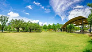 Top 19 playgrounds in Houston