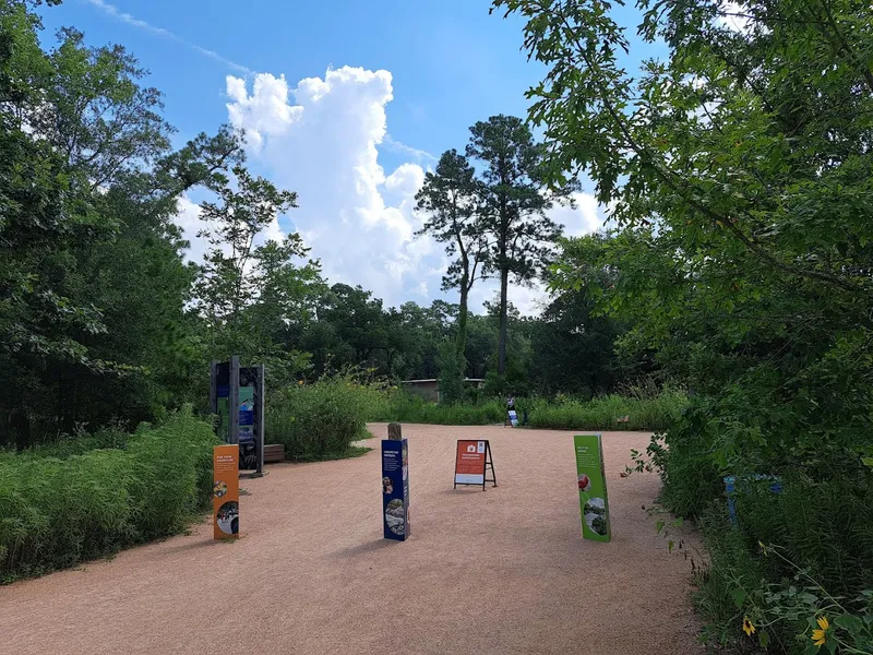 Kid-Friendly day trips Houston Arboretum & Nature Center