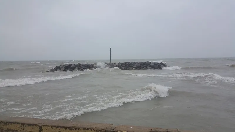 beaches Marion Mahony Griffin Beach Park