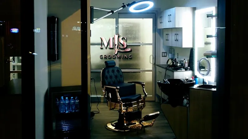 barber shops Mr. Leaks Styles @ MLS Grooming LLC in Hyde Park