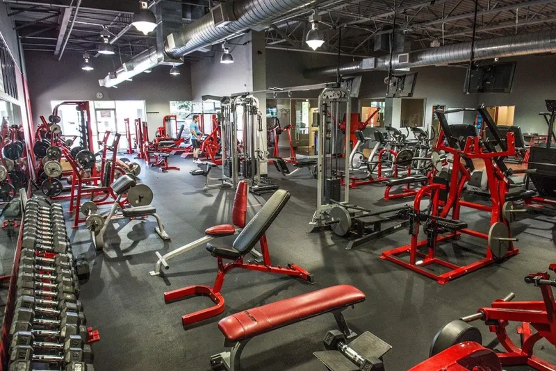 gyms Texas Muscle & Fitness LLC