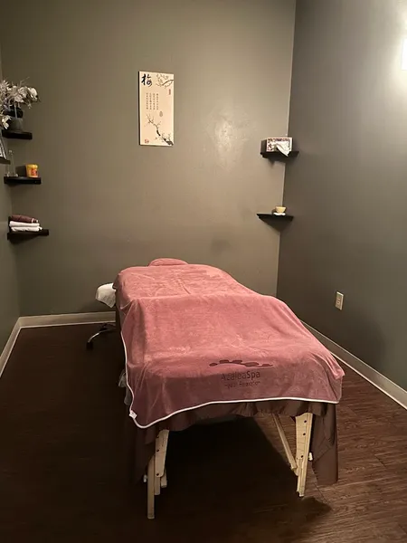 Spas Azalea Spa | Best Deep Tissue Massage in San Antonio