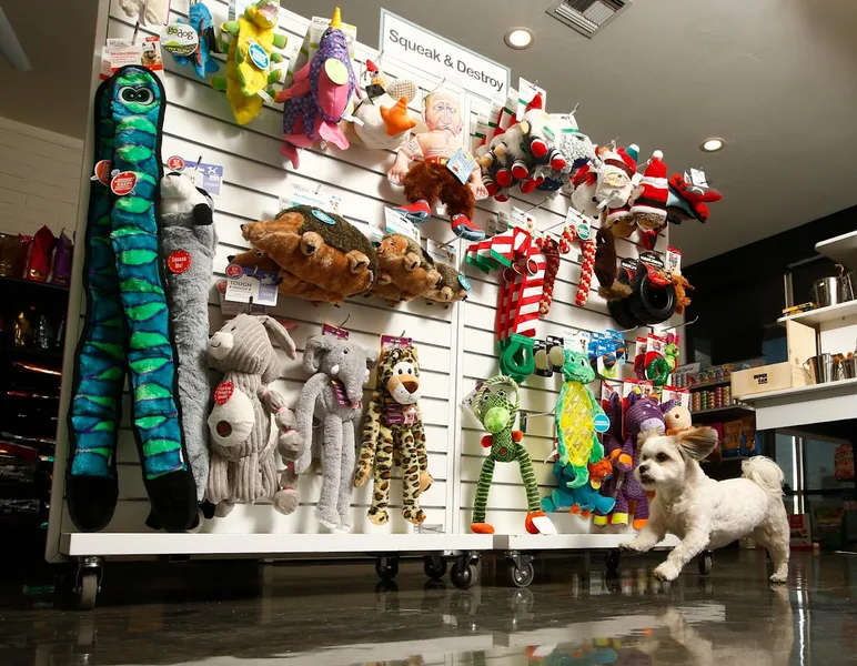 pet stores Fetch Natural Pet Market