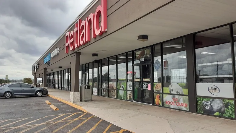 pet stores Petland Leon Valley