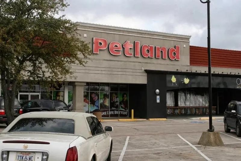 pet stores Petland Dallas