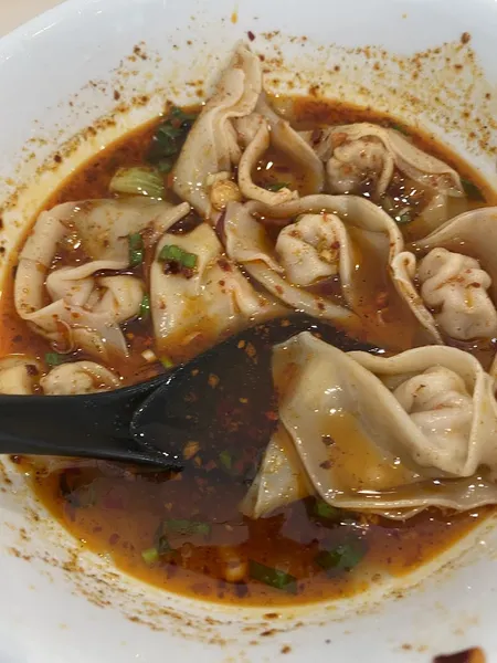 wontons Shifu Noodle