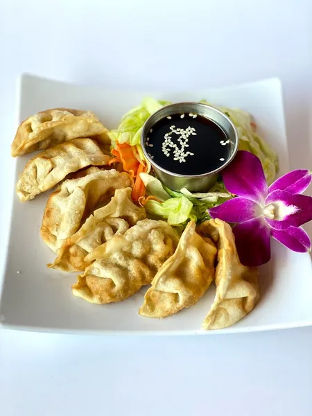 wontons Thai Wok Restaurant