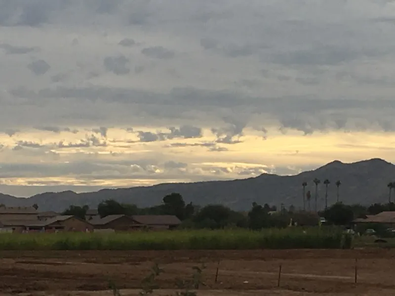 farmers’ markets Cultivate South Phoenix