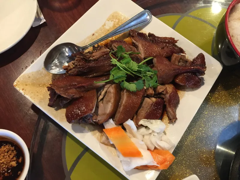 roast duck A Dong Vietnamese & Chinese Restaurant @DeZavala