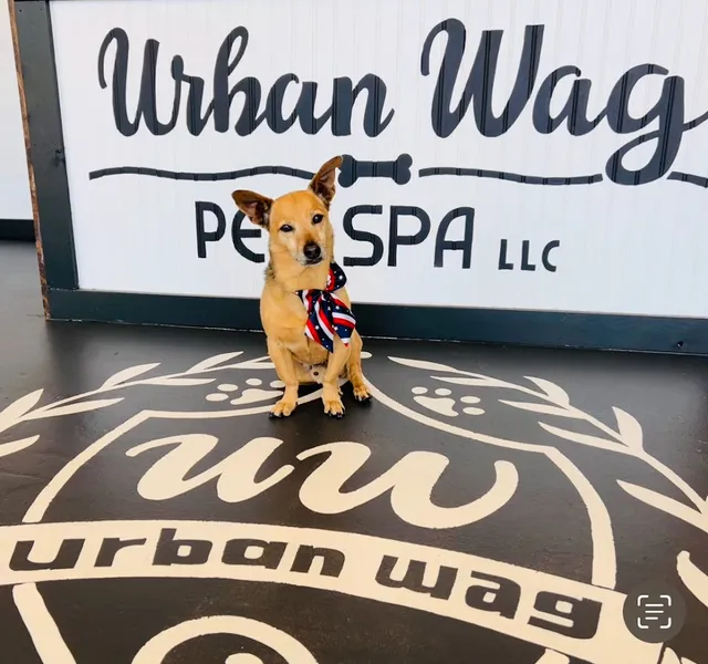 dog groomers Urban Wag Pet Spa