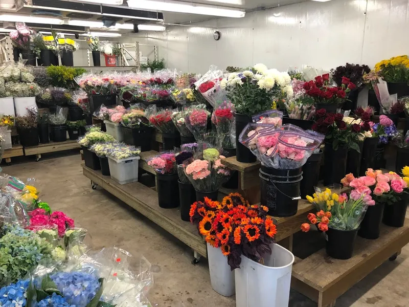 florist San Antonio Flower Co