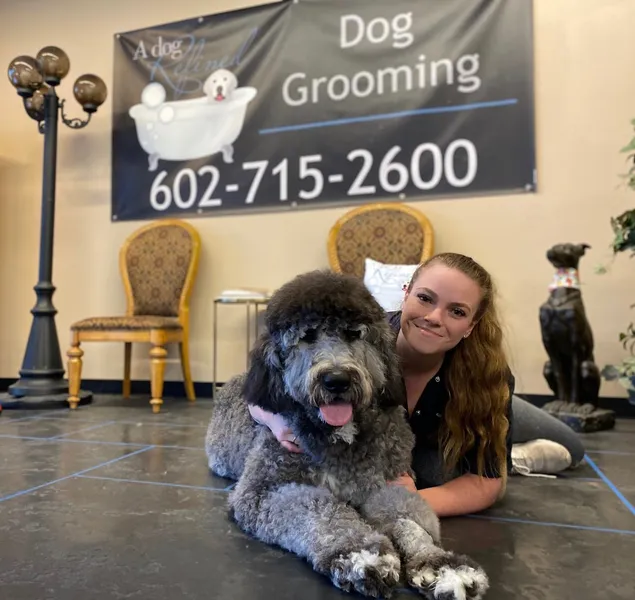 dog groomers A Dog Refined