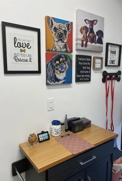 dog groomers The Dapper Doxie