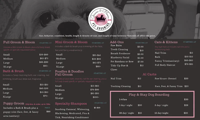 dog groomers Groom & Bloom Pet Grooming