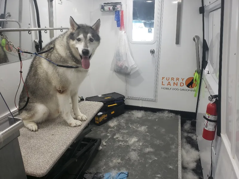 dog groomers Furry Land San Antonio Mobile Pet Groomer