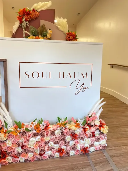 yoga classes Soul Haum Yoga