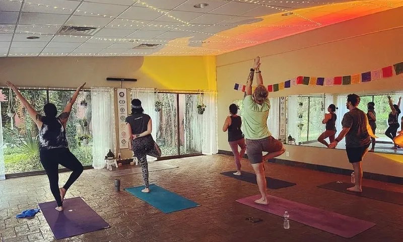 yoga classes Pure Prana Path Yoga & Wellness