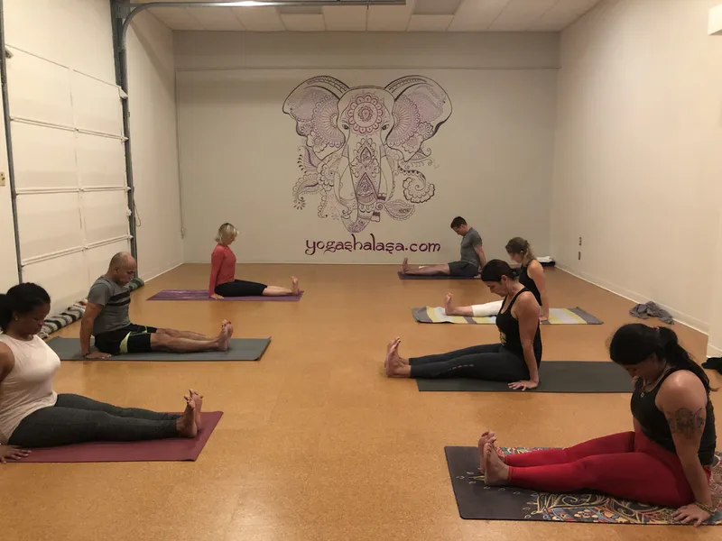 yoga classes Yoga Shala of San Antonio