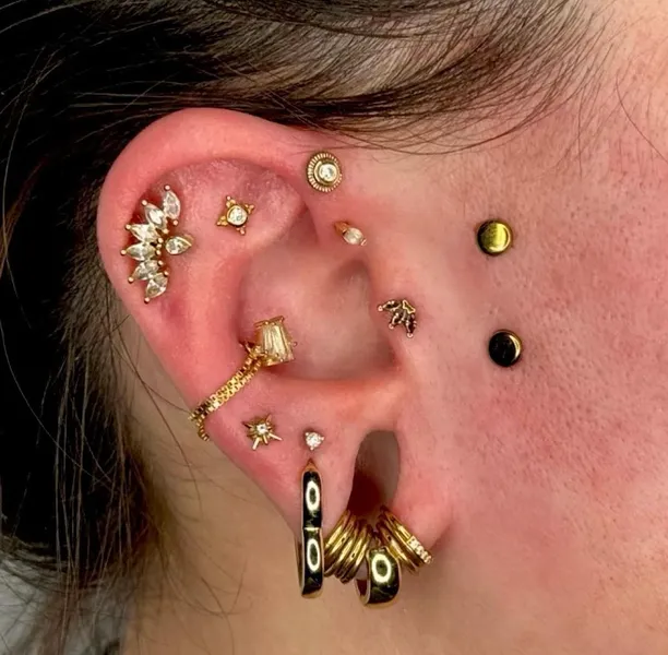 piercing shops Platinum Body Piercings