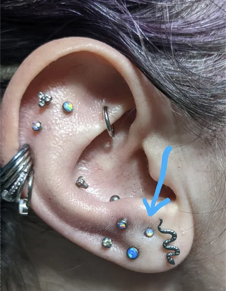 piercing shops Shaman Modifications