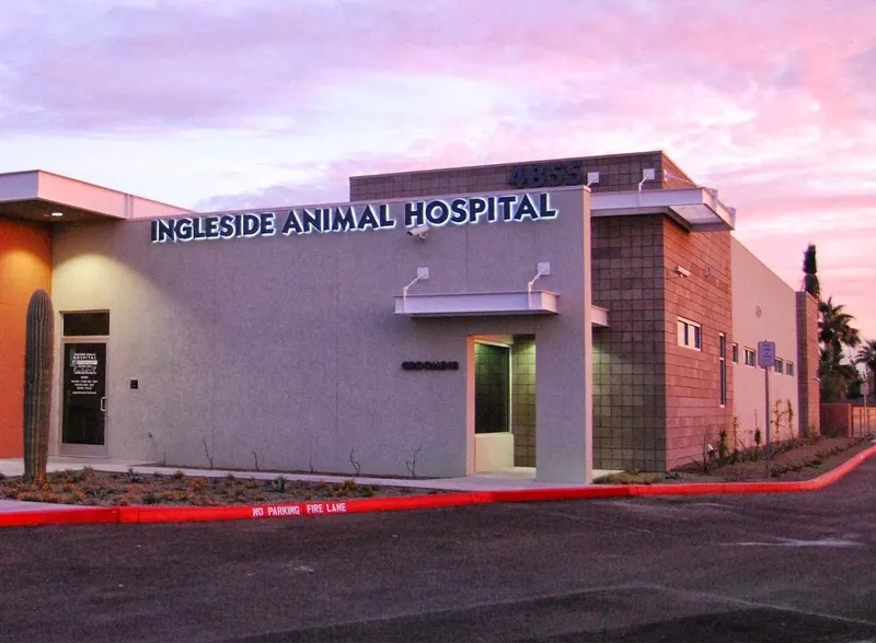 veterinarians Ingleside Animal Hospital