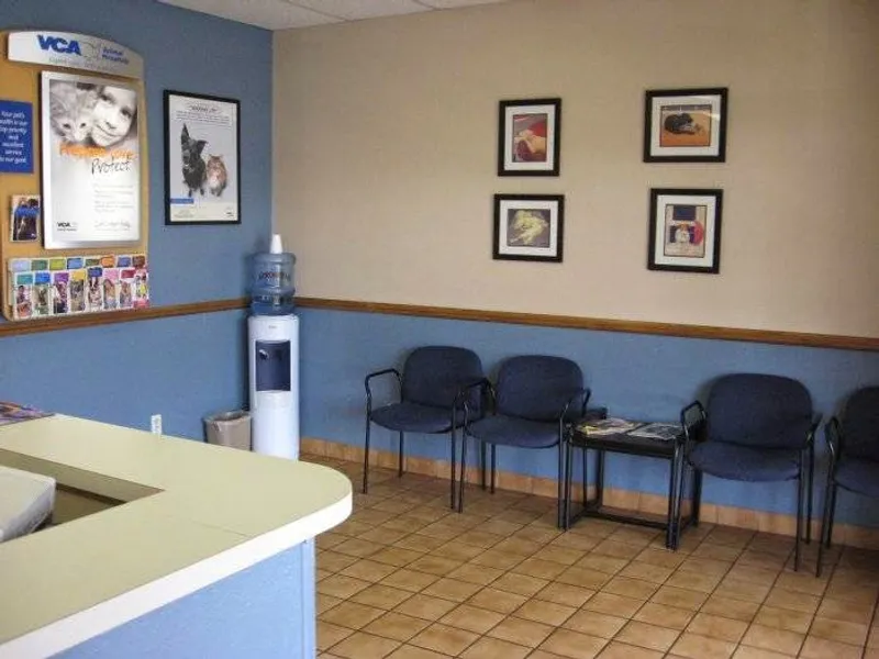 veterinarians VCA Mountain View Animal Hospital