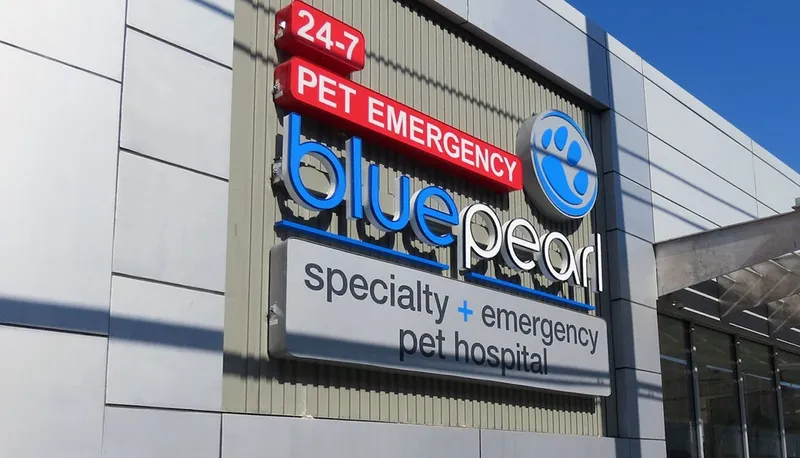 veterinarians BluePearl Pet Hospital