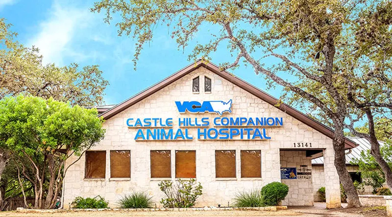 veterinarians VCA Castle Hills Companion Animal Hospital