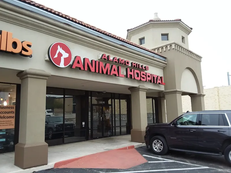 veterinarians Alamo Hills Animal Hospital