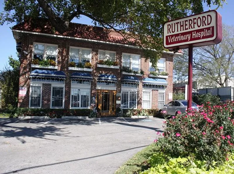 veterinarians Rutherford Veterinary Hospital