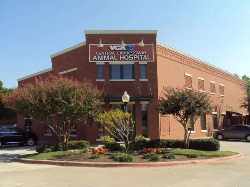 veterinarians VCA Central Expressway Animal Hospital