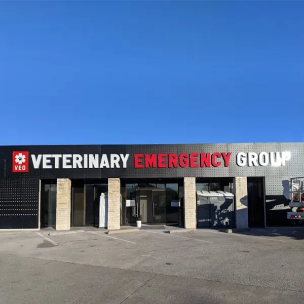 veterinarians Veterinary Emergency Group