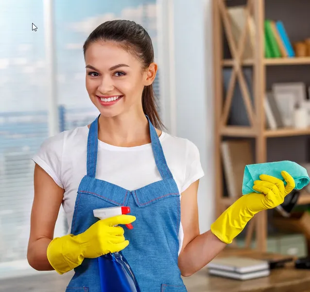 cleaning services Patriot Maids Cleaning Services