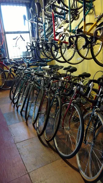 bike store Firehouse Bicycles