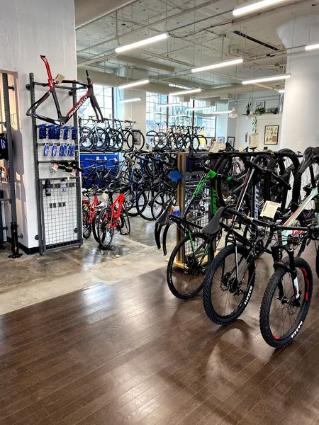 bike store Cadence Cycling - Center City