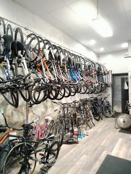 bike store Swaray’s Bike Shops