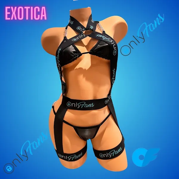 lingerie shops Exotica