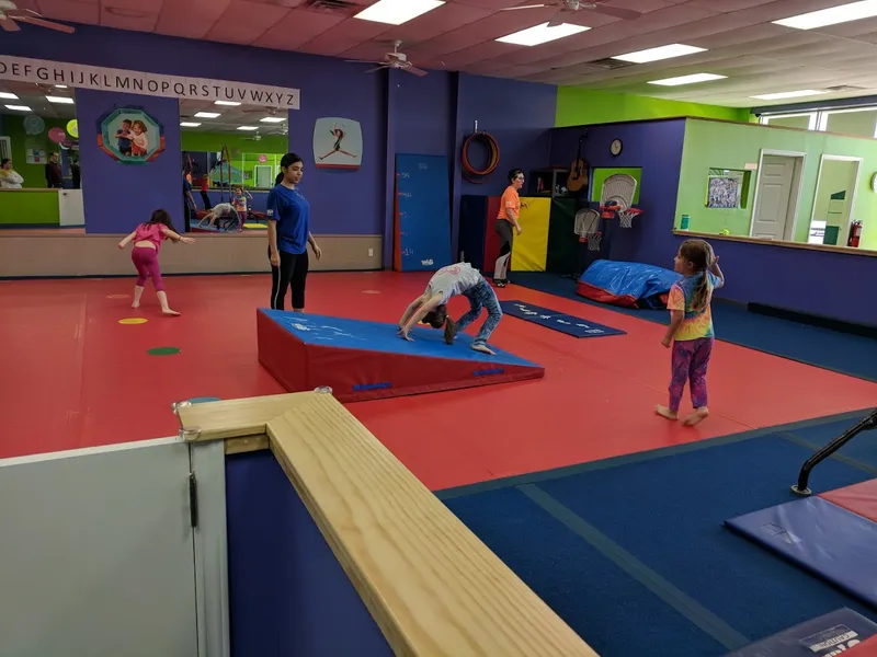 gymnastics classes The Little Gym, Mockingbird & Abrams