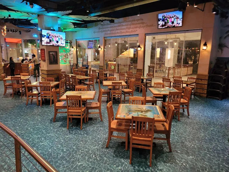 Kid-Friendly restaurants Margaritaville - San Antonio