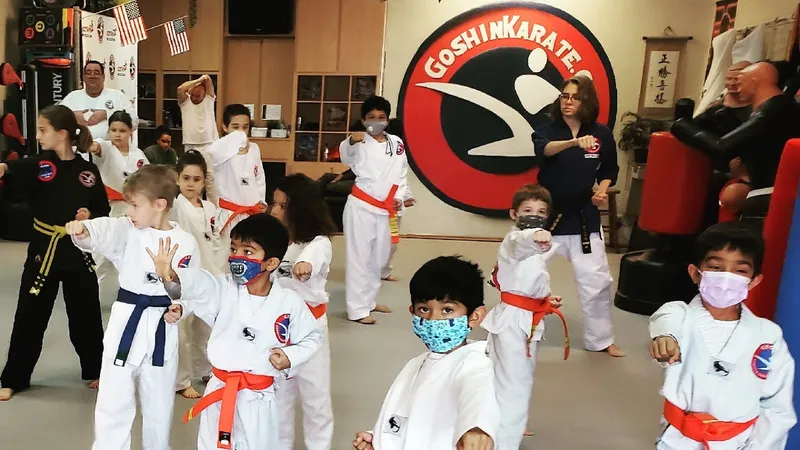 karate classes Goshin Karate & Judo Academy