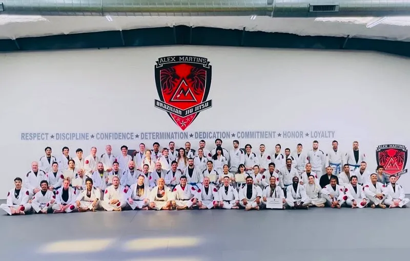 karate classes Alex Martins Brazilian Jiu Jitsu