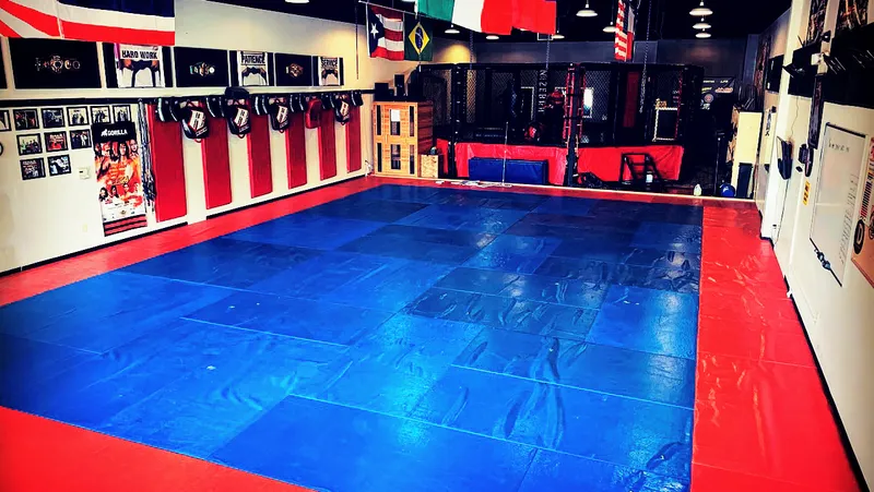 karate classes Dominion MMA®, Brazilian Jiu Jitsu & San Antonio MMA Training Gym.