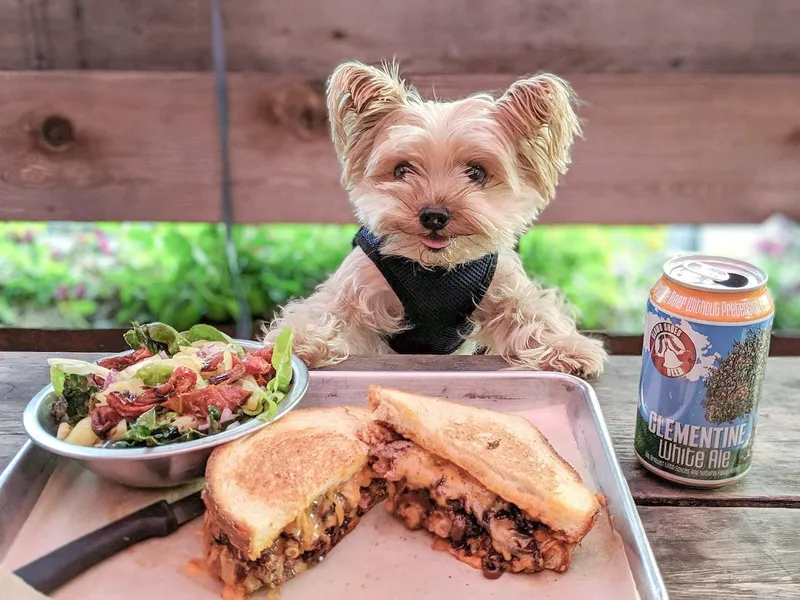 Dog-Friendly Restaurants Goodfriend Beer Garden & Burger House