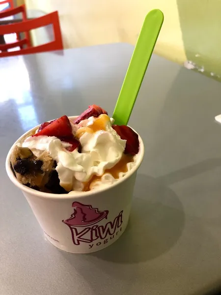 frozen yogurt Kiwi Yogurt