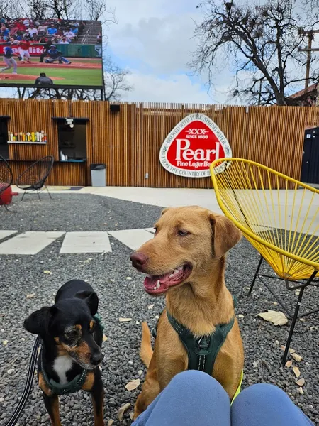 Dog-Friendly Restaurants Hops & Hounds